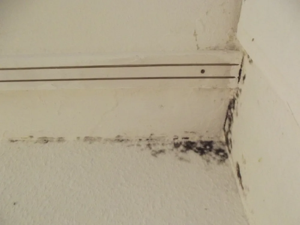 Technician in protective gear removing a mold-damaged wall in a Valley Park home